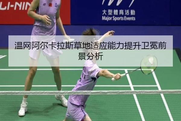 wen-wang-a-er-ka-la-si-cao-di-shi-ying-neng-li-ti-sheng-wei-mian-qian-jing-fen-xi-3-376.jpg