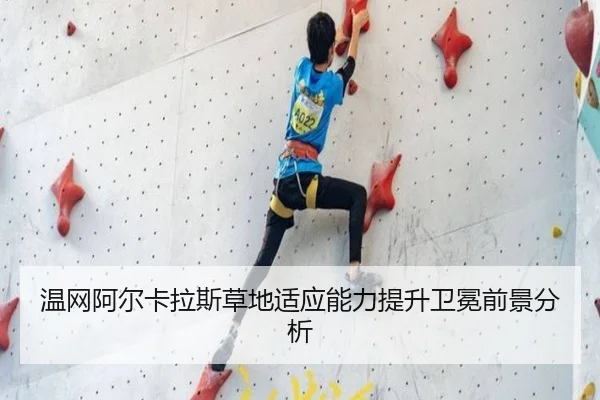 温网阿尔卡拉斯草地适应能力提升卫冕前景分析