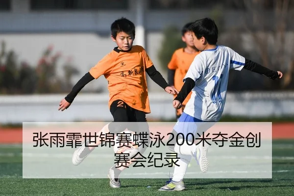 zhang-yu-fei-shi-jin-sai-die-yong-mi-duo-jin-chuang-sai-hui-ji-lu-3-977.jpg