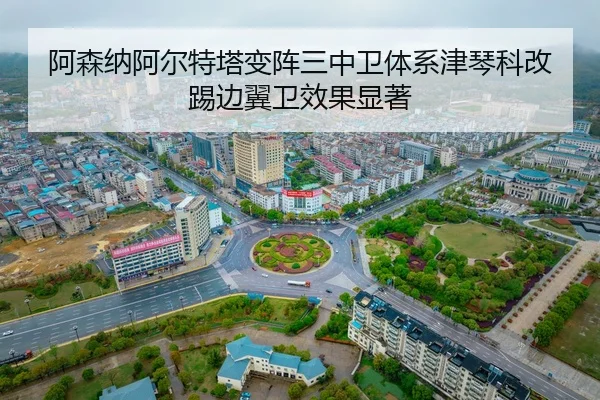 a-sen-na-a-er-te-ta-bian-zhen-san-zhong-wei-ti-xi-jin-qin-ke-gai-ti-bian-yi-wei-xiao-guo-xian-zhu-2-747.jpg