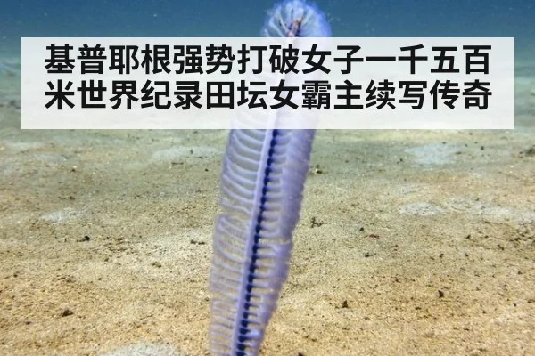 基普耶根强势打破女子一千五百米世界纪录田坛女霸主续写传奇
