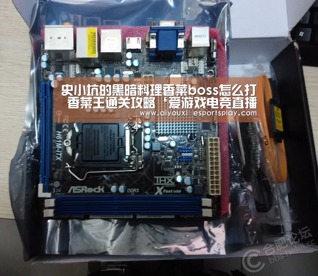 爱游戏电竞直播